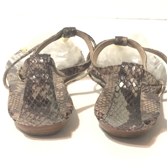 Dolce Vita Snakeskin T-strap and Gold Trim Sandals size 6 - Picture 4 of 6